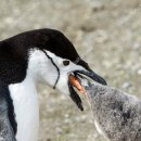 키즈약국 이미지