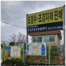 【광주광역시/반려 나무】 2024 나무 나누기 행사 /캠페인/이벤트 동백, 황칠, 돈나무 수령하기