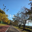 가창체육공원 | 대구 근교 가창 체육공원 애견 동반 산책 후 가창 맛집 생수정식당 방문 후기🐶🍴