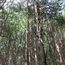 현내 - 달성군 | 현내