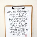 미학 이미지