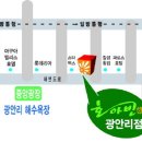 호아빈 이미지