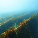 장호2리 이미지