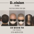 디비전 스칼프 이미지