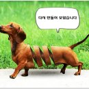 바카스 이미지