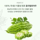 여주도예식품;차 | 식후비책 여주분말 가루 식곤증 심한 직장인 솔직 후기 저분자 여주