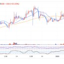 bi - ark (+3.81%) 이미지