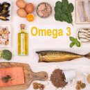 휘트니스 더 레이 이미지