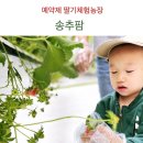 싱그런팜
