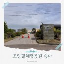 제주승마공원 | 제주 조랑말 체험공원 : 아이랑 제주 말타기 체험 승마 솔직 후기
