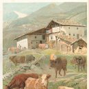 건담한의원 이미지