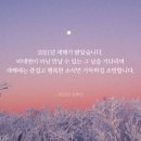 울산독일보청기 이미지