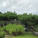 수승대임정은가든 이미지