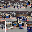 용인대 도당 유도체육관 네이버블로그