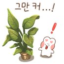 파블리 이미지