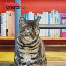 풍경호스텔 이미지