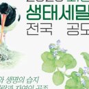 우음도 에코뮤지엄 이미지