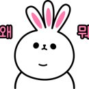아이센스블랙라벨PC존 이미지