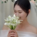 호텔 모먼트 | 공군호텔 컨벤션홀 모먼트루 본식 스냅 후기, 내돈내산 아이폰스냅 추천