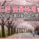 이왕이공원(도촌파출소내) | 도촌 벚꽃축제 성남 봄나들이 2026 일정 및 주차 꿀팁 정리