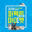 마이펫30 이미지