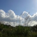 초막골 생태공원 이미지