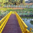 파주 눌노리 체험 캠핑장 이미지