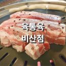 육통육 비산점 이미지