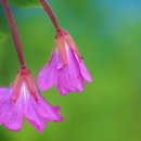 파아란지붕 이미지