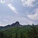 용대자연휴양림 연립동 앵초 1박 후기
