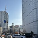 시청큰약국 이미지