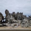 동해당구장 이미지