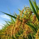 청명세탁 이미지