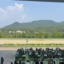 과천 렛츠런파크 놀라운지 경마 용어 경마 방법 및 후기