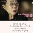 더 스토리짐 이미지