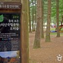 오리숲 이미지