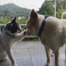 구룡동길 이미지