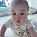 해님소아청소년과의원 네이버블로그