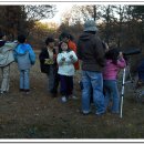 칠보산오리 이미지