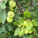 중앙메디칼보청기 이미지