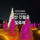 새천년의 빛 | 부산 근처 겨울 가볼만한 곳 울산 간절곶 빛축제 후기 및 주차정보