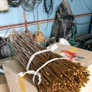 서유목장 이미지