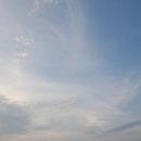 심청이