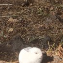 주혜농장 이미지