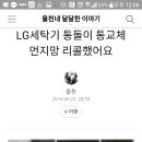 lg통돌이 세탁기 먼지망 없는통 교체 이미지