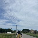 면역공방 이미지