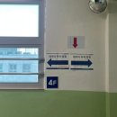 31140-5-49-8 | 비전공자의 데이터 분석 스터디_제49회 ADsP 자격증 시험 난이도 합격 후기 및 기출 문제 복기