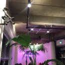 파리에다녀온치킨 이미지