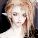 일루젼가든돌 이미지