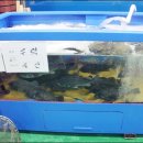 공동어시장 입구 이미지